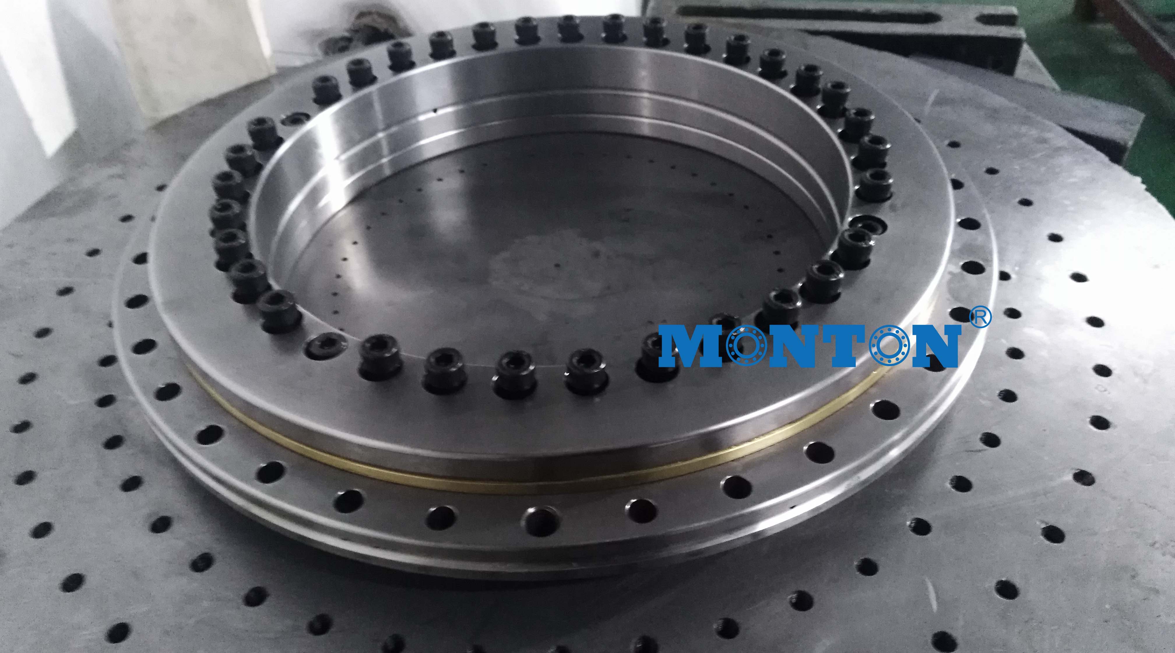 YRT260P4 YRT bearing yrt turntable bearing 