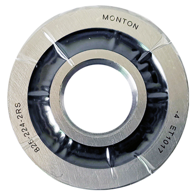 Servo motor bearing