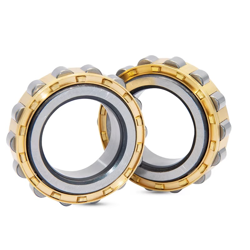 RN Series Cylindrical Roller Bearing