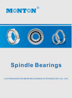 Spindle Bearings