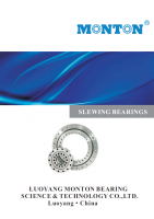 Slewing Bearing