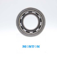 Cryogenic bearings MTS6206