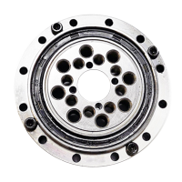 Harmonic Drive Bearing