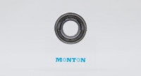 MTS6203PTSN Cryogenic bearings