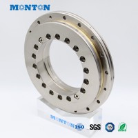 YRT100 Rotary Table Bearing 