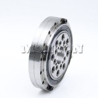 CSF-25 Harmonic Drive Crossed Roller Bearing 