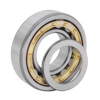 NUP300 Series Cylindrical Roller Bearing