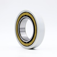 NU210ECMC3VL0241 Insulated Insocoat bearings