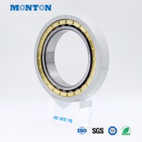 NU1016-XL-M1-P6-F1-S0-J20AA-R83-100 Insulated bearing