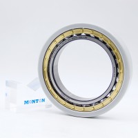 NU1016-XL-M1-P6-F1-S0-J20AA-R83-100 Insulated bearing